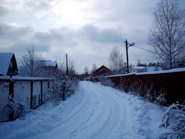 лесной участок в деревне Новорижское шоссе направление