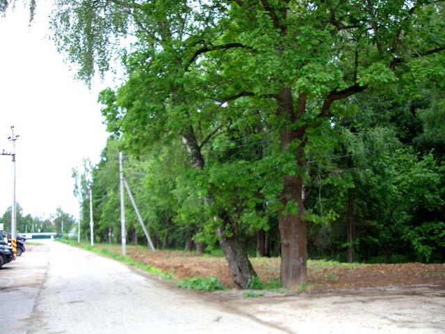 Лесной участок в Буньково